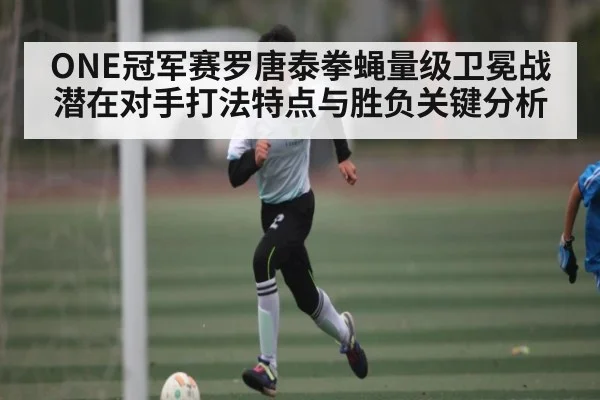 ONE冠军赛罗唐泰拳蝇量级卫冕战潜在对手打法特点与胜负关键分析